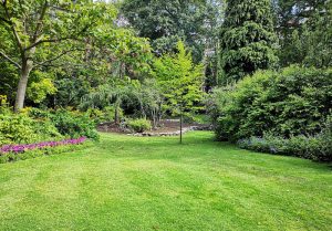 Optimiser l'expérience du jardin à Saint-Avit-de-Soulege